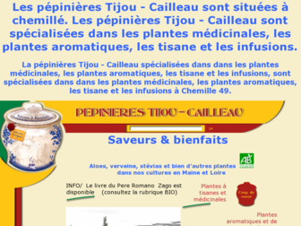 tijou.fr website preview