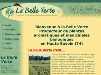 belleverte.fr website preview