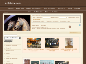 antikaire.com website preview