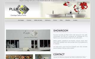 carrelage-pleingres.com website preview