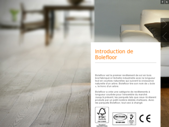 bolefloor.com website preview