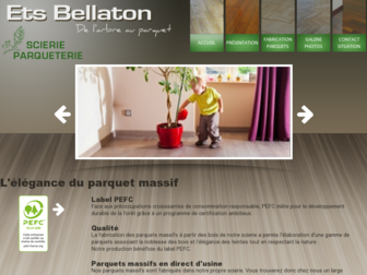 parquetsbellaton.com website preview