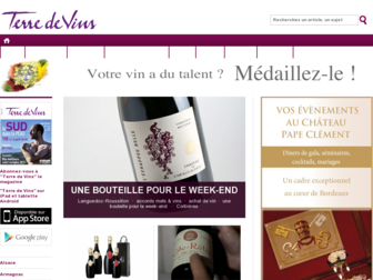 terredevins.com website preview