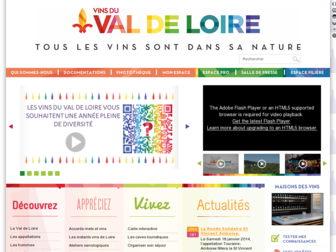 vinsvaldeloire.fr website preview