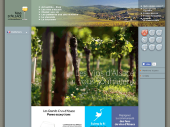 vinsalsace.com website preview