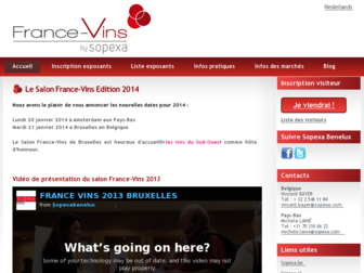 france-vins.eu website preview