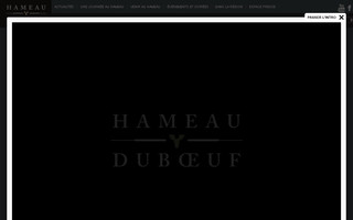 hameauduvin.com website preview