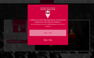 vins-saint-emilion.com website preview