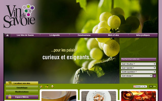 vindesavoie.net website preview