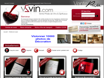 v2vin.com website preview
