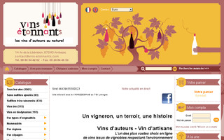 vins-etonnants.com website preview