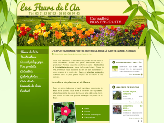 fleurs-de-laa.com website preview