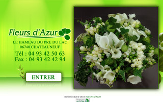 fleur-dazur06.com website preview