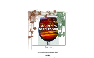 domaine-billard.com website preview