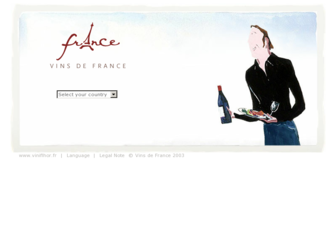 vins-france.com website preview