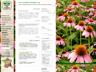 syndicat-simples.org website preview
