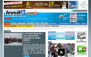 leveil.fr website preview