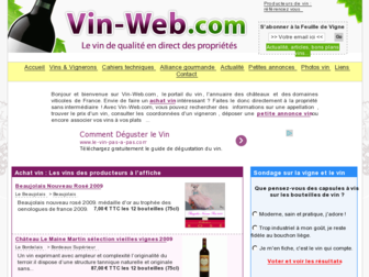 vin-web.com website preview