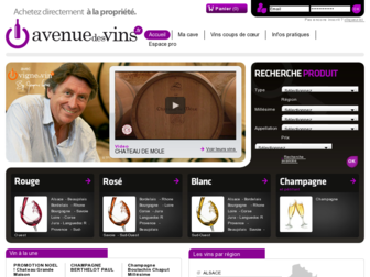 avenuedesvins.fr website preview