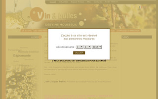 vin-et-bulles.fr website preview
