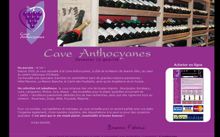 caviste-orleans.fr website preview