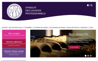 cavistesprofessionnels.fr website preview