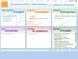 pro-emploi-interim.fr website preview