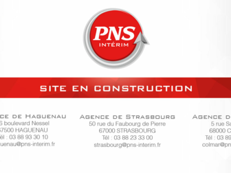 pns-interim.fr website preview