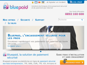 www3.bluepaid.com website preview