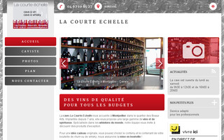 caviste-montpellier.fr website preview