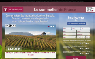 sommelier-france.avis-vin.lefigaro.fr website preview
