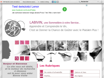 labivin.net website preview