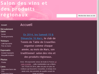 salondesvinscruseilles.fr website preview