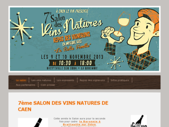 vinsnaturelscaen.com website preview