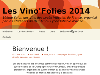 salondesvinsavize.fr website preview