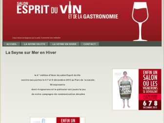 salon-vins.com website preview