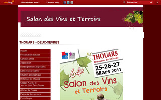 salonvinsterroirs-thouars.over-blog.fr website preview