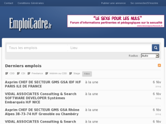 emploicadre.com website preview