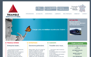 triangle.fr website preview