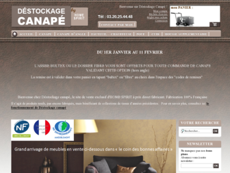 destockage-canape.com website preview