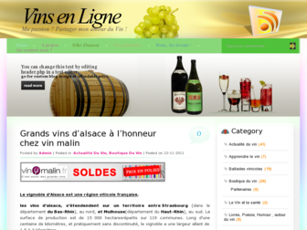 vins-en-ligne.com website preview