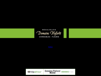 domaine-plaforet.fr website preview