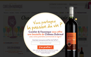 cuvelier-fauvarque.fr website preview