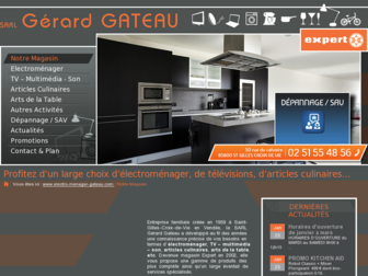 electro-menager-gateau.com website preview