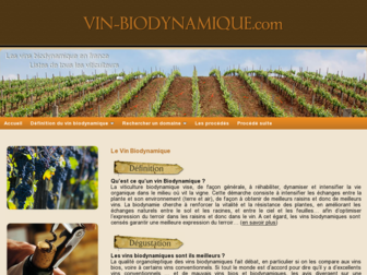 vin-biodynamique.com website preview