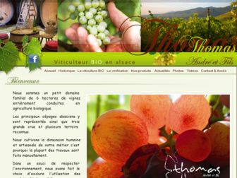 thomas-vin-bio-alsace.com website preview