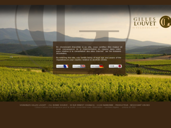 vignobles-gilleslouvet.com website preview