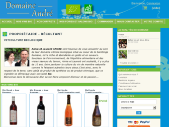 vin-bio-andre.fr website preview