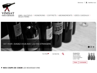 vinisat.com website preview