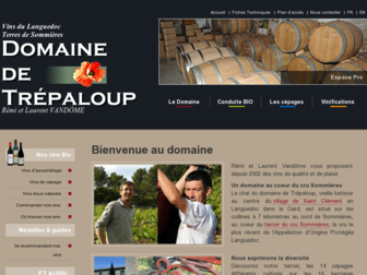 domainetrepaloup.com website preview